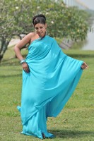 Mona Saree Photos